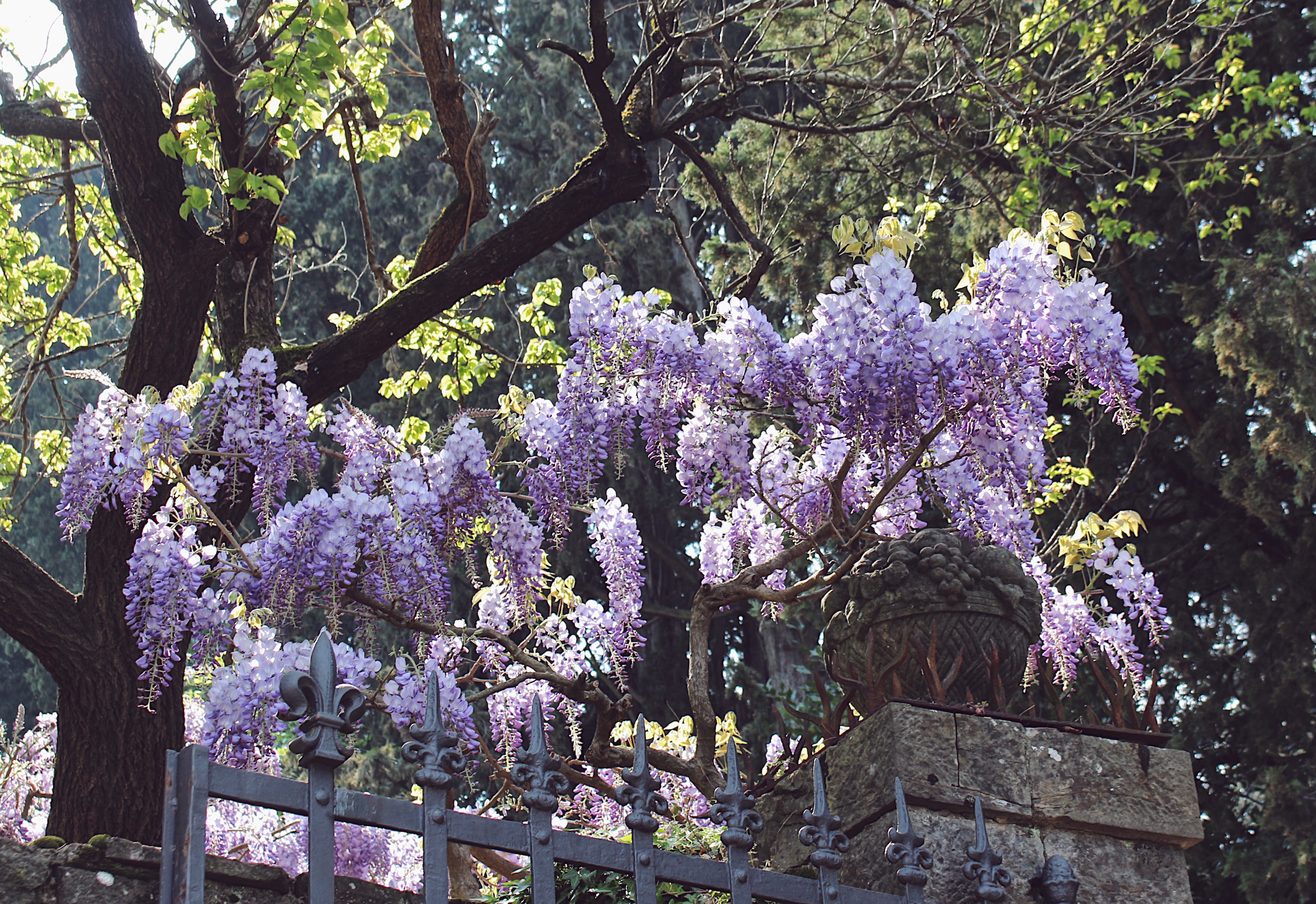 Travel: Florence, Italy